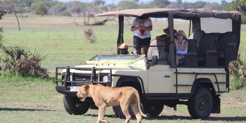 Game Drive in Mikumi National Park