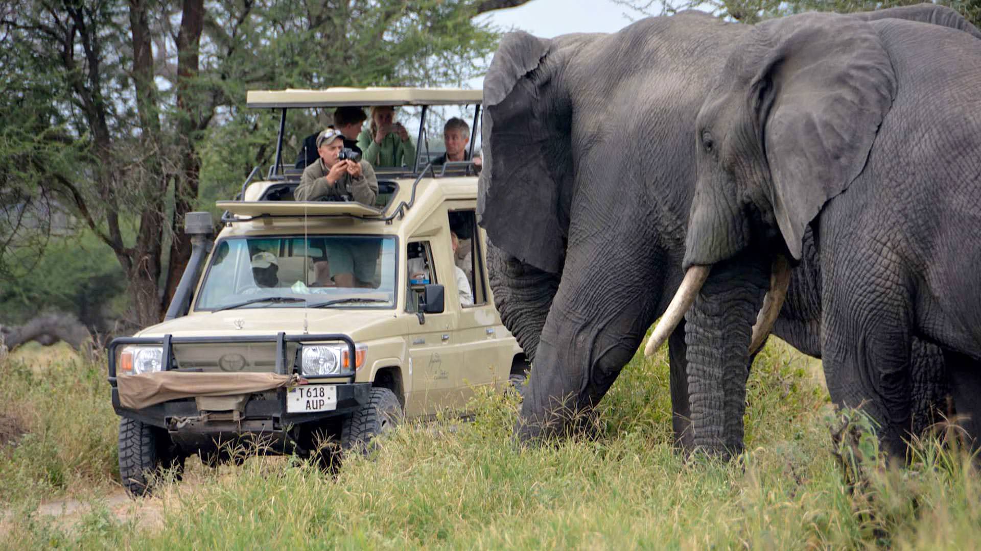 Maswa Game Reserve