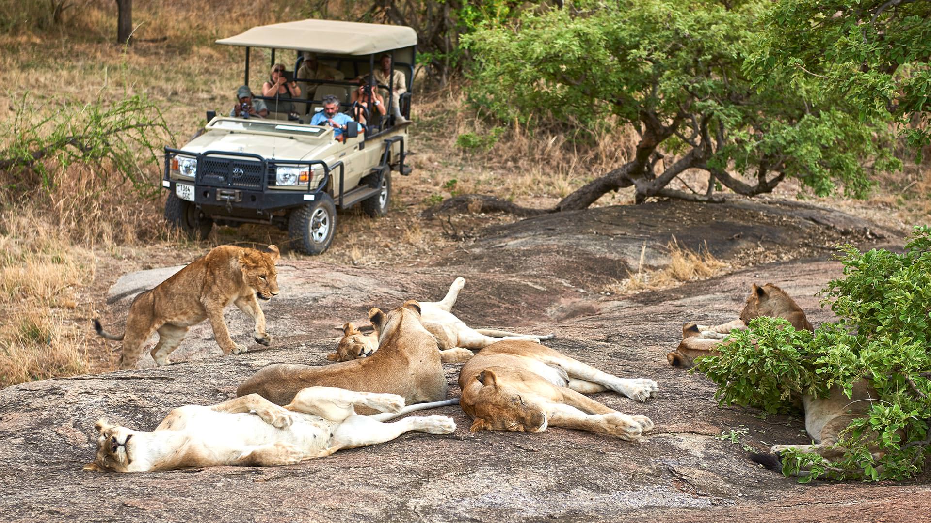 Maswa Game Reserve - All Tanzania Safaris