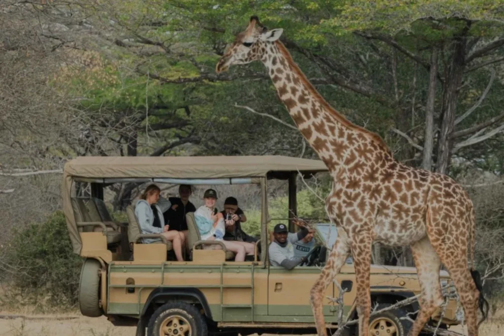 Exclusive 2 days Nyerere national park wildlife safari from Zanzibar
