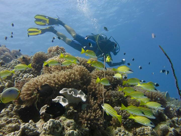 Maziwe Island