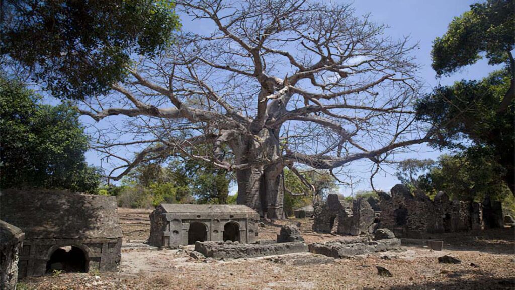 Tongoni Ruins