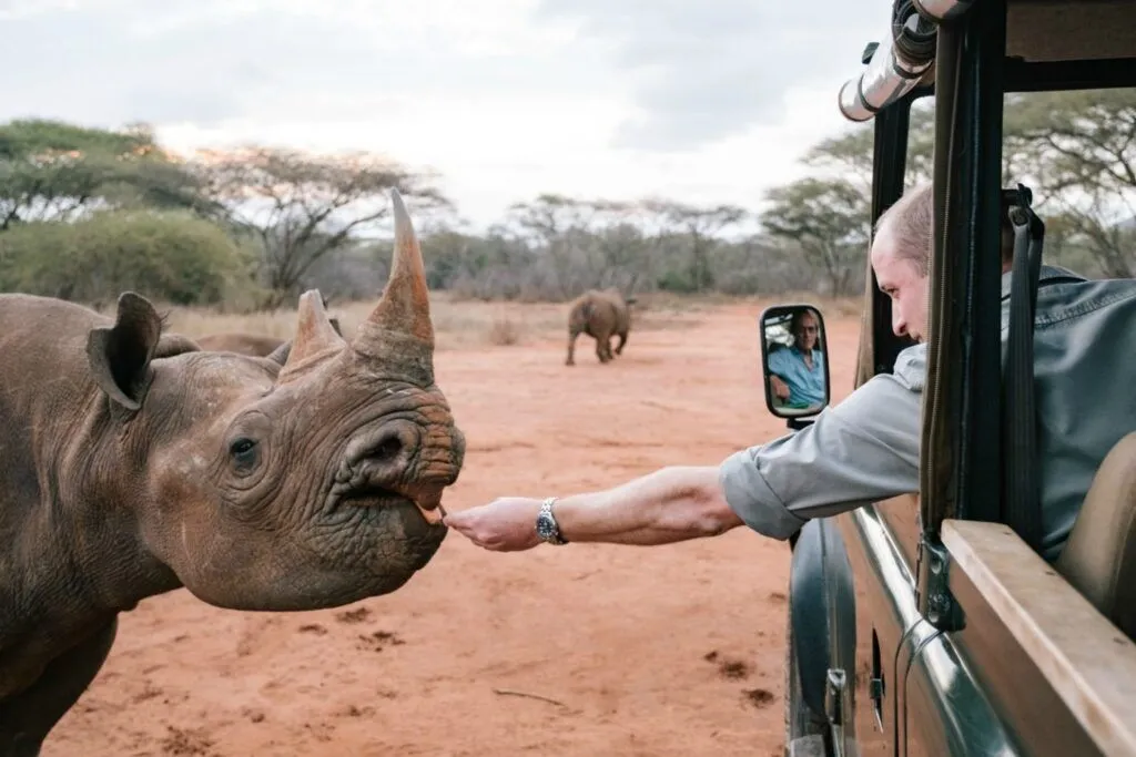 Best 3 Days Mkomazi National Park & Mkomazi Rhino Sanctuary