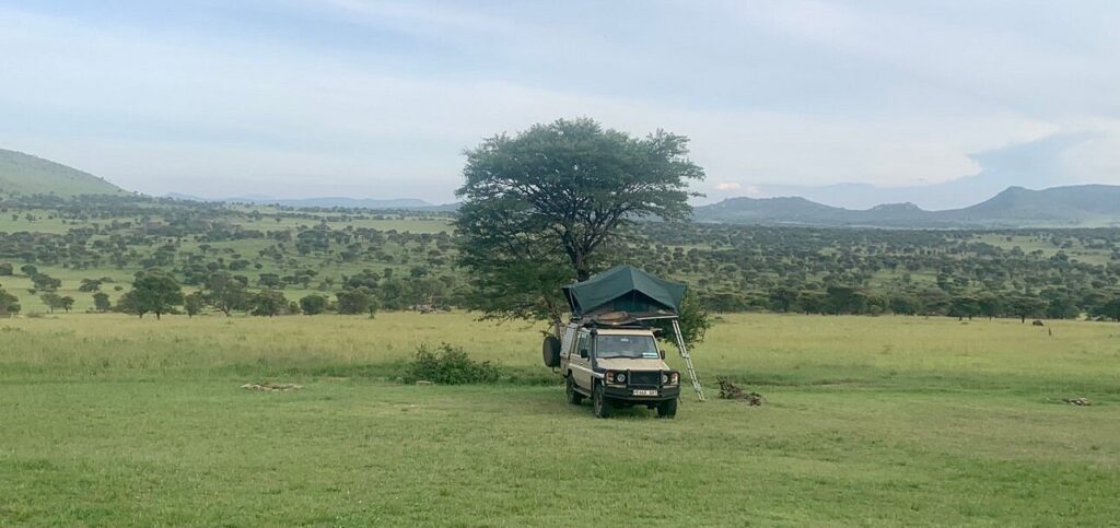 Lobo Public Campsite