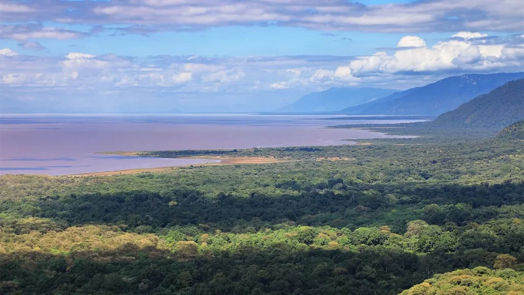 Lake Manyara Airport