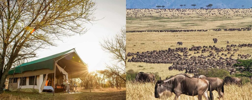 Serengeti Mobile Tented Camps