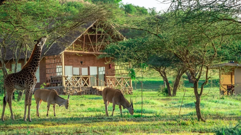 2 Days Serval Wildlife Safari from Zanzibar