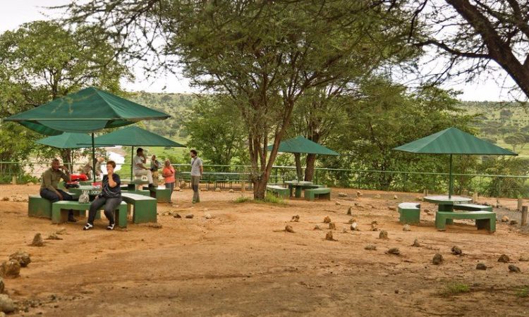 Picnic Sites in Tarangire National Park